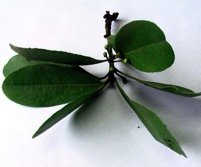 /pf/resources/images/abc-placeholder.png?d=2422