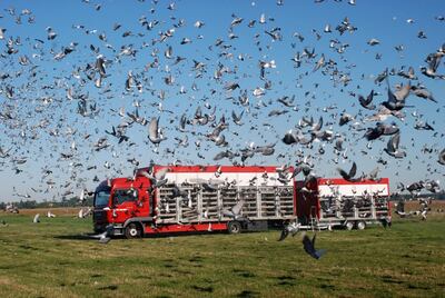 /pf/resources/images/abc-placeholder.png?d=2421