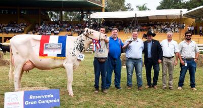 La diversificación y la innovación, contrarrestan las dificultades en el campo.