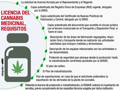 LICENCIA DEL CANNABIS MEDICINAL, REQUISITOS