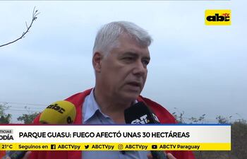 Parque Guasu, fuego afectó unas 30 hectáreas
