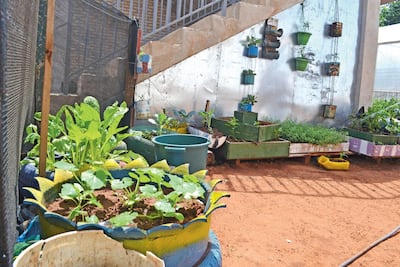 Imagen sin descripción