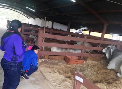 /pf/resources/images/abc-placeholder.png?d=2394