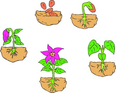 /pf/resources/images/abc-placeholder.png?d=2419