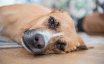 /pf/resources/images/abc-placeholder.png?d=2421