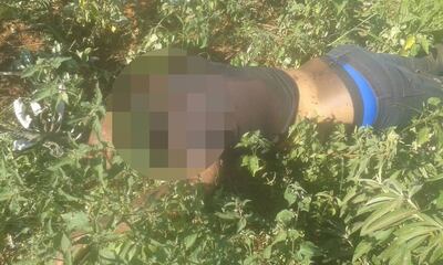 /pf/resources/images/abc-placeholder.png?d=2430