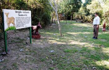 el-sendero-kurupay-de-la-reserva-guasu-puku-es-parte-de-un-atractivo-circuito-turistico-la-idea-es-explotar-el-turismo-interno-en-el-periodo-194559000000-1647422.jpg