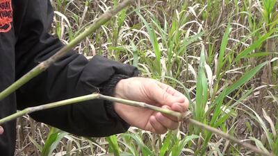 /pf/resources/images/abc-placeholder.png?d=2429