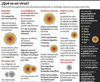 OMS confirma contagios de covid-19 en más de un centenar de países