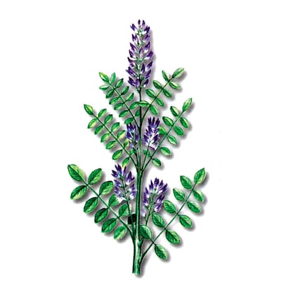 /pf/resources/images/abc-placeholder.png?d=2394