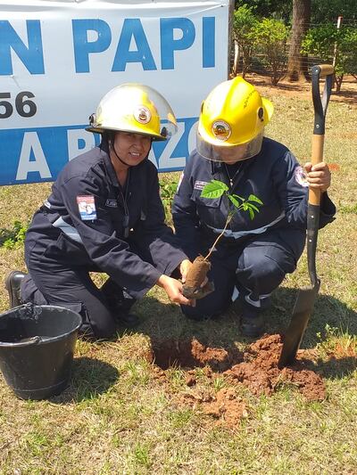 Bomberos de Horqueta arborizan la ciudad