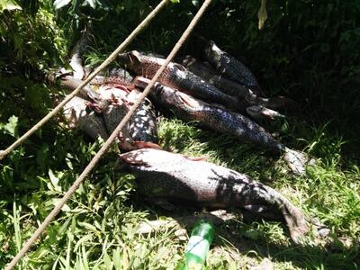 /pf/resources/images/abc-placeholder.png?d=2402