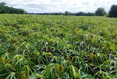 /pf/resources/images/abc-placeholder.png?d=2395