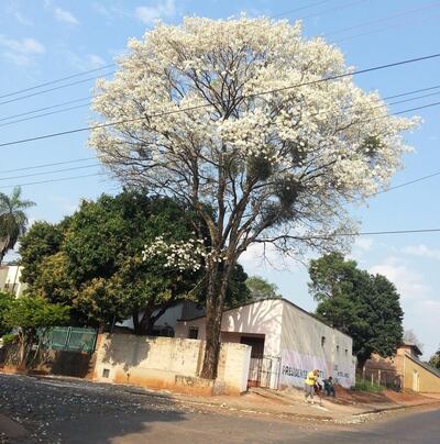 Imagen sin descripción