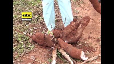 /pf/resources/images/abc-placeholder.png?d=2429