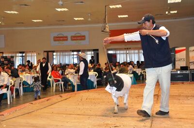 Ya están  definidas las actividades  las actividades ganaderas de la Expo 2019.