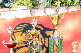 los-trofeos-y-las-medallas-que-siguen-esperando-a-sus-ganadores-ante-el-inconcluso-campeonato-senior-de-la-liga-deportiva-salto-del-guaira-211753000000-1533009.jpg