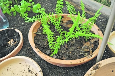 /pf/resources/images/abc-placeholder.png?d=2394