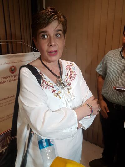 Desirée Masi dijo que la tenencia o no de fueros de Cartes es discutible.