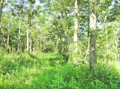 /pf/resources/images/abc-placeholder.png?d=2422