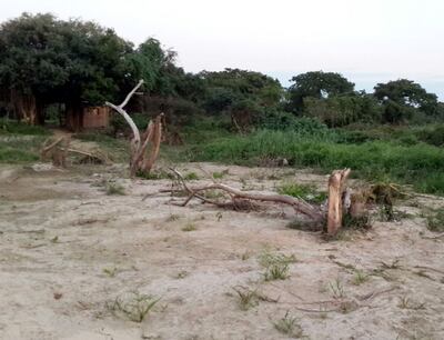 Imagen sin descripción