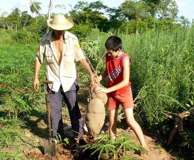 Imagen sin descripción