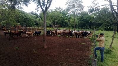 /pf/resources/images/abc-placeholder.png?d=2420