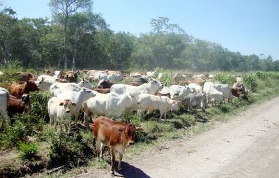 /pf/resources/images/abc-placeholder.png?d=2419