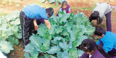 /pf/resources/images/abc-placeholder.png?d=2429