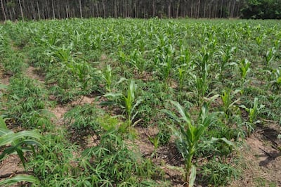 /pf/resources/images/abc-placeholder.png?d=2395