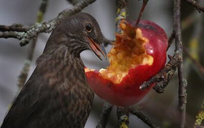 /pf/resources/images/abc-placeholder.png?d=2425