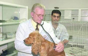 rol-del-veterinario-en-la-vida-animal-92715000000-1487898.jpg