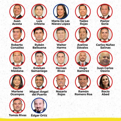 Los que "descuartizaron" el proyecto de Ley de Financiamiento Político.