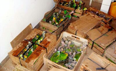 /pf/resources/images/abc-placeholder.png?d=2395