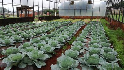 /pf/resources/images/abc-placeholder.png?d=2402