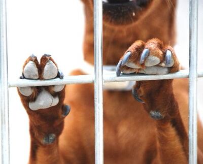 /pf/resources/images/abc-placeholder.png?d=2426