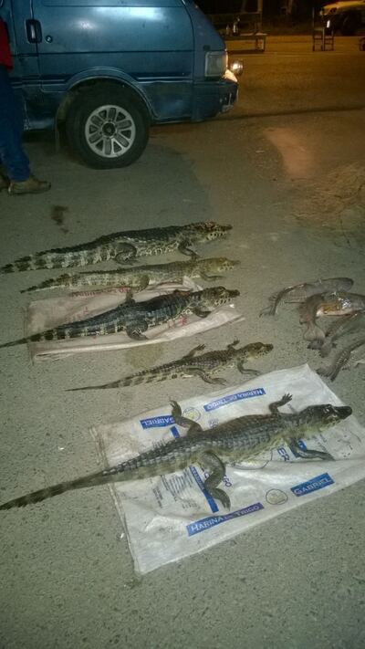 /pf/resources/images/abc-placeholder.png?d=2398