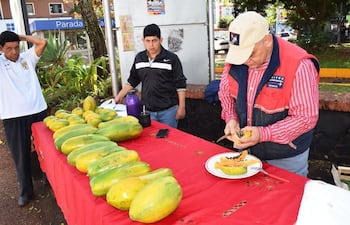 productores-de-mamon-de-la-zona-de-valenzuela-buscan-dar-a-conocer-la-alta-calidad-de-la-cosecha-nacional-de-este-rubro--221409000000-1731433.jpg