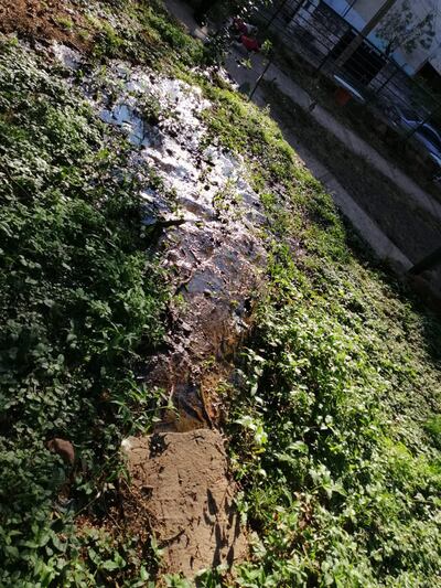 Desagüe cloacal en pleno parque.