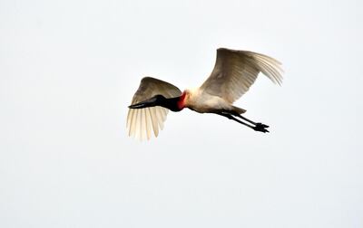 /pf/resources/images/abc-placeholder.png?d=2395