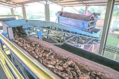 /pf/resources/images/abc-placeholder.png?d=2421