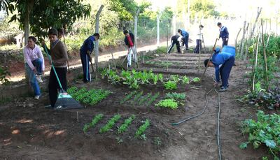 Para incentivar las huertas escolares se debe contar con el apoyo de organizaciones, autoridades educativas y grupos de padres interesados.