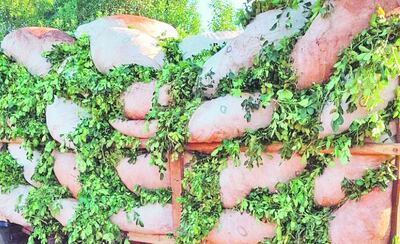 /pf/resources/images/abc-placeholder.png?d=2394