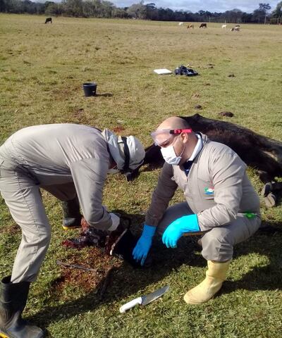 /pf/resources/images/abc-placeholder.png?d=2428