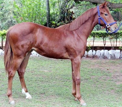 /pf/resources/images/abc-placeholder.png?d=2395