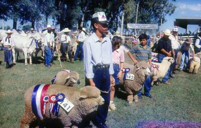 /pf/resources/images/abc-placeholder.png?d=2395