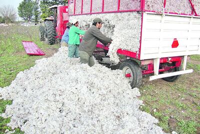 /pf/resources/images/abc-placeholder.png?d=2421