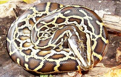 /pf/resources/images/abc-placeholder.png?d=2397