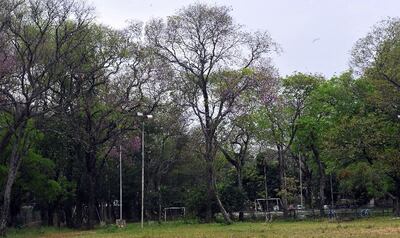 Imagen sin descripción