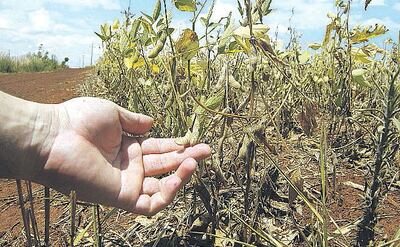 /pf/resources/images/abc-placeholder.png?d=2421